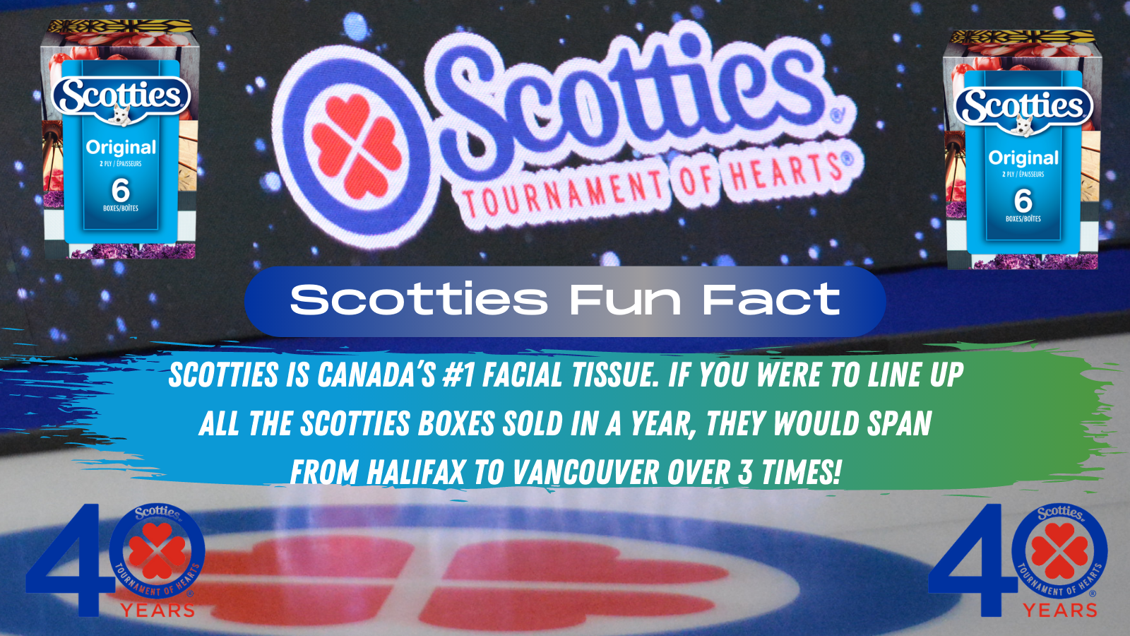 Scotties Fun Fact