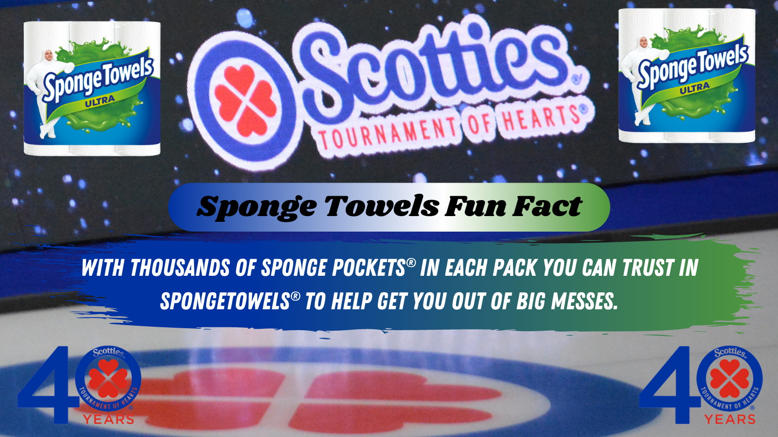 Sponge Towels Fun Fact
